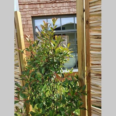 דירות Trebur Tiny Loft Im Suedhessischen Ried מראה חיצוני תמונה