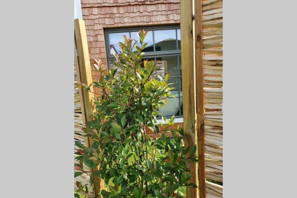 דירות Trebur Tiny Loft Im Suedhessischen Ried מראה חיצוני תמונה